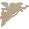 Ekena Millwork 5 1/8"W x 6 5/8"H x 1 1/8"P Angel Onlay, Right ONL05X06X01AN-R - alternate 4